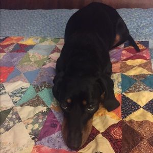 Meet your Posher, Christine